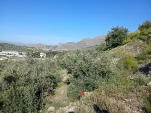 Terreni e lotti in vendita a Atarfe, imagen 3