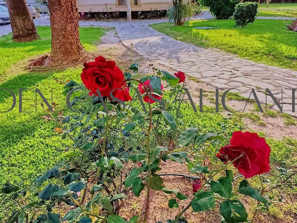 Garten von Wohnungen zum Verkauf in Alicante / Alacant mit Klimaanlage, Heizung und Privatgarten