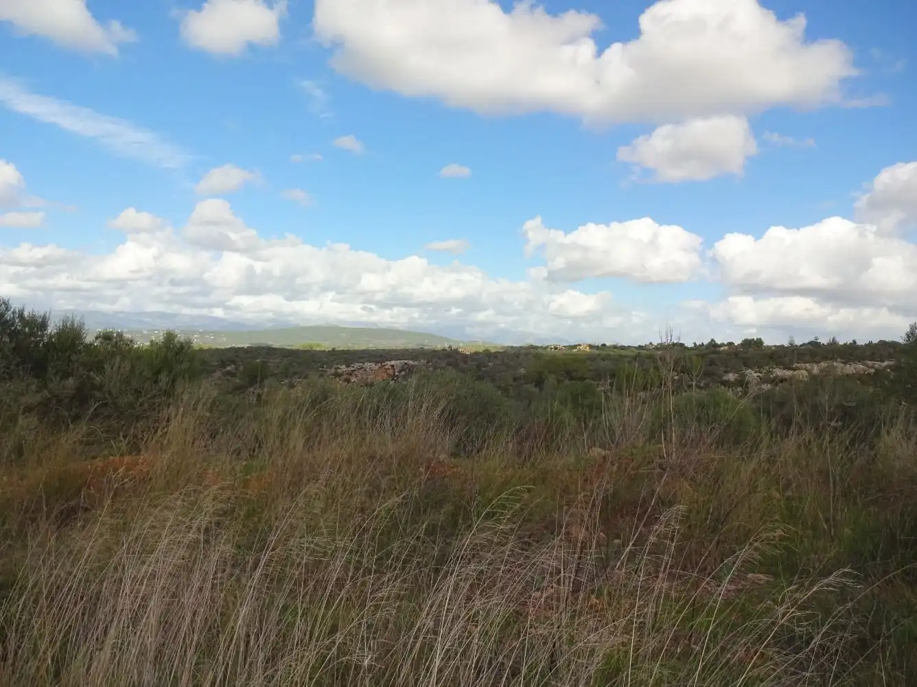 Terreny residencial en venda a Llevant, imagen 9