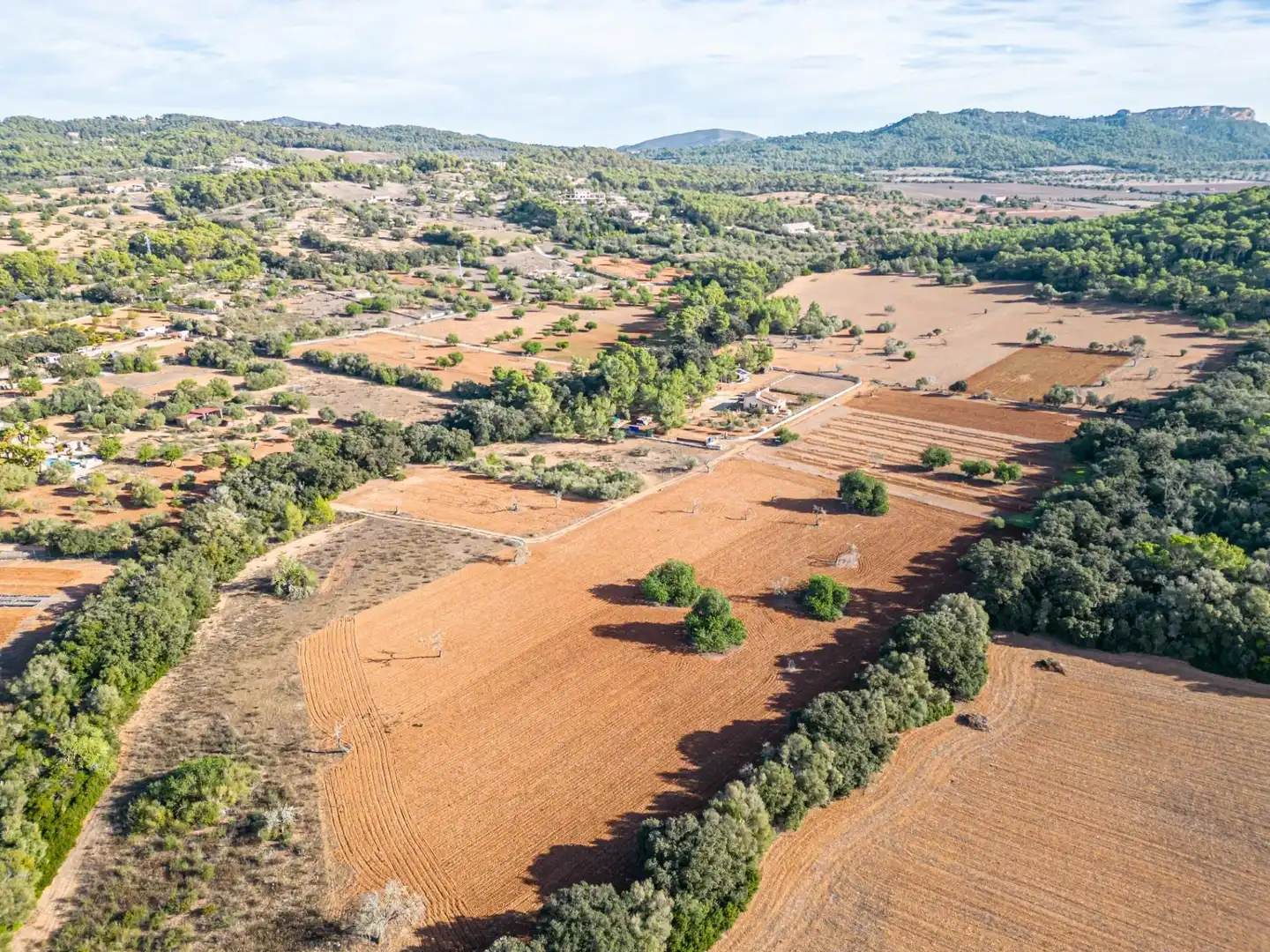 Wohnbaugrundstück zum Verkauf in Felanitx Poble, imagen 8