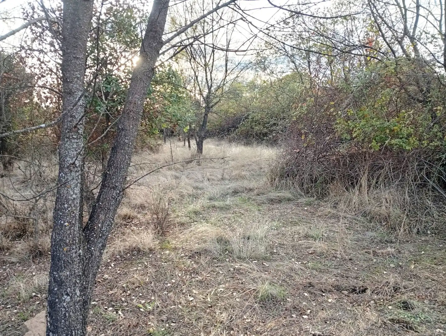 Terreni e lotti in vendita a Villanueva de la Vera, imagen 51