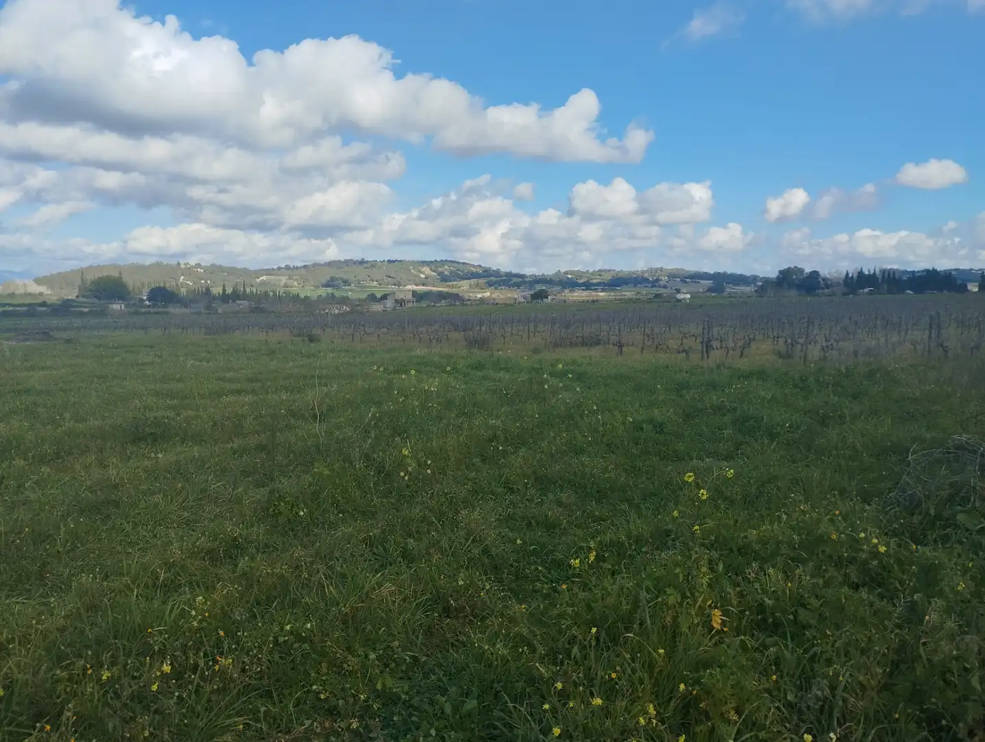 Terrain résidentiel à vendre à Algaida, imagen 4