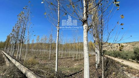 Photo 4 of House or chalet for sale in N/a, Cuevas Bajas, Málaga