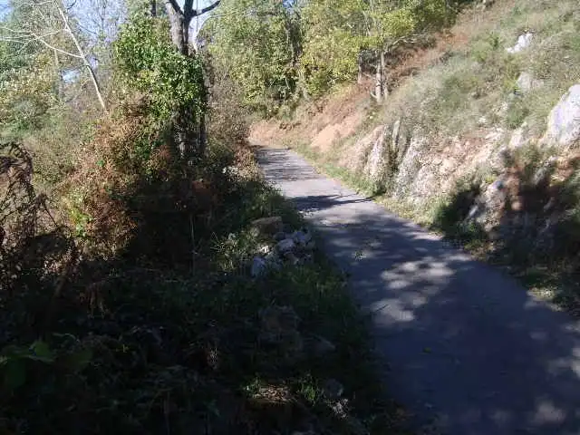 Grundstücke und Bauplätze zum Verkauf in Cangas de Onís, imagen 4