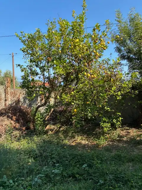 Maison avec jardin à vendre à Loureda - Lañas - Barrañán, imagen 38