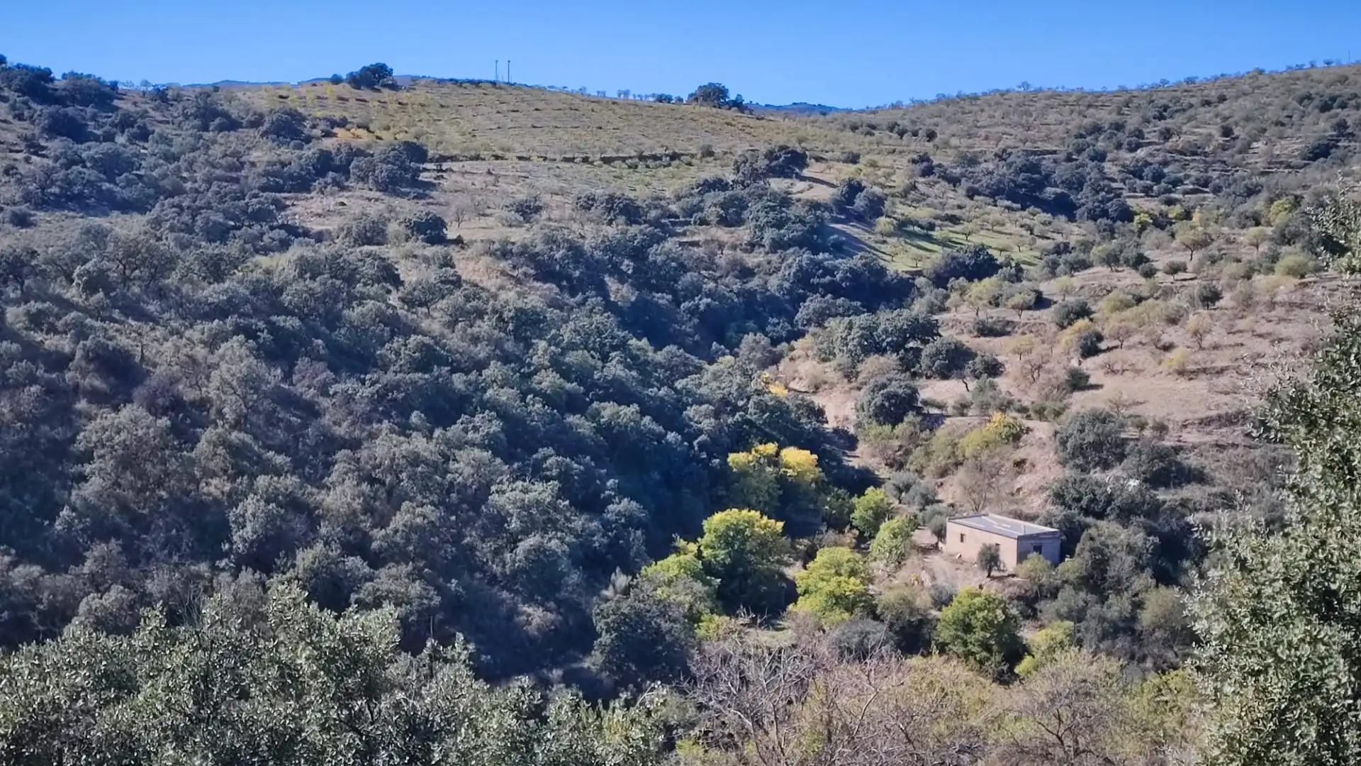 Land for sale in Alcudia de Monteagud