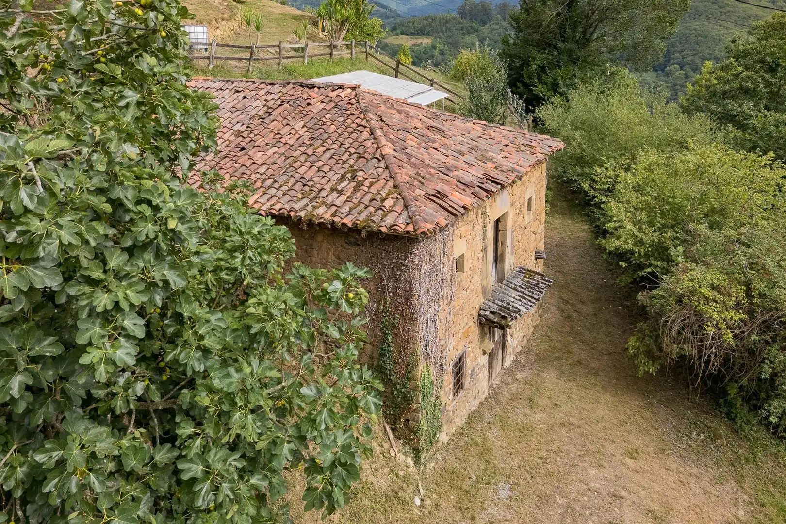 Vista exterior de Finca rústica en venda en Mieres (Asturias)