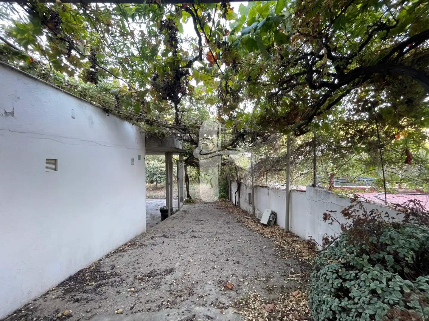 Vista exterior de Casa o chalet en venta en Sant Pere de Ribes con Jardín privado, Terraza y Trastero