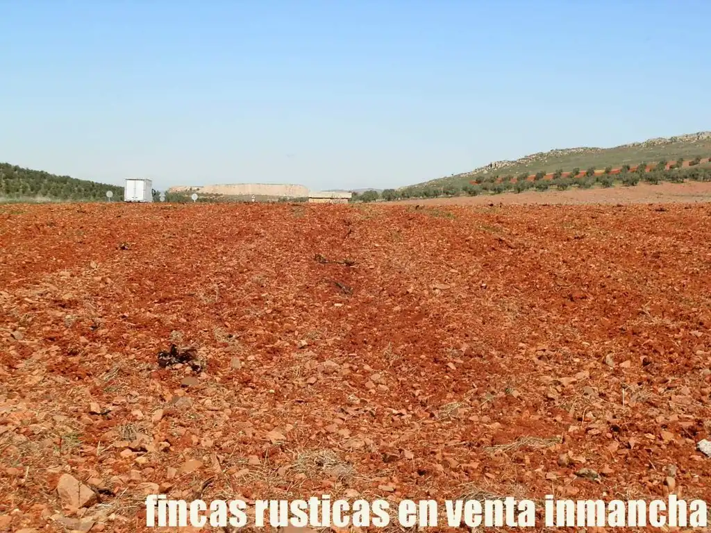 Rural land for sale in Valdepeñas, imagen 16
