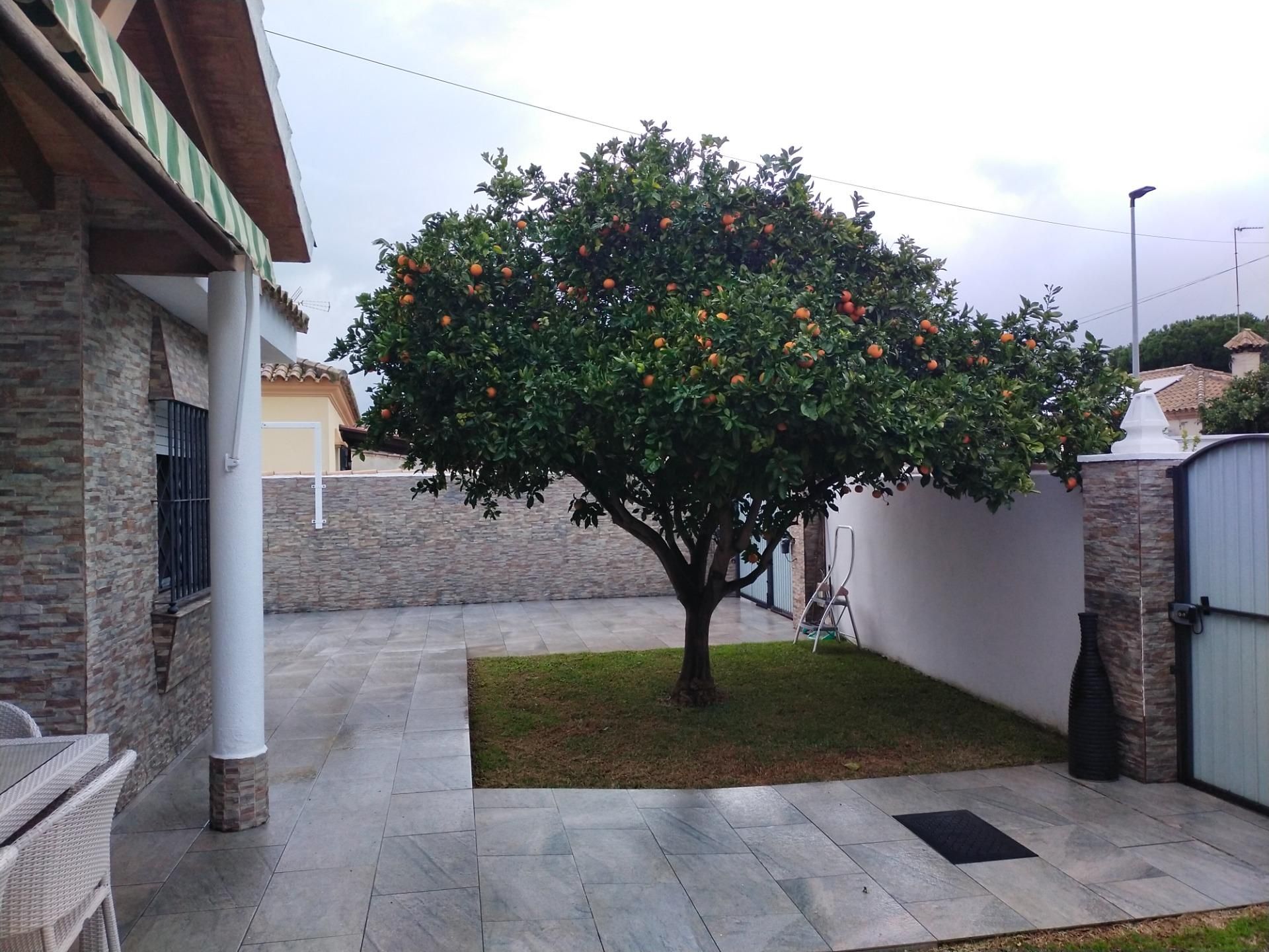 Jardí de Casa o xalet en venda en Chiclana de la Frontera amb Jardí privat, Moblat i Alarma