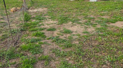 Foto 3 de Terreno en venta en N/a, Los Molares, Sevilla