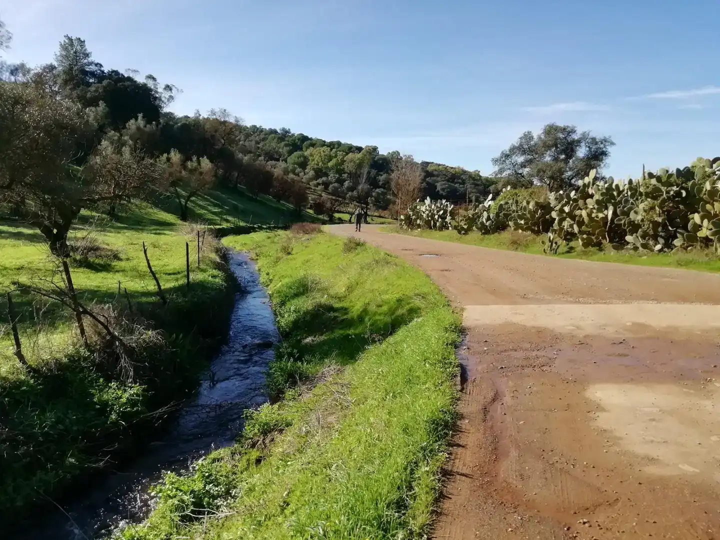 Vista exterior de Terreno en venta en Cumbres Mayores, Huelva