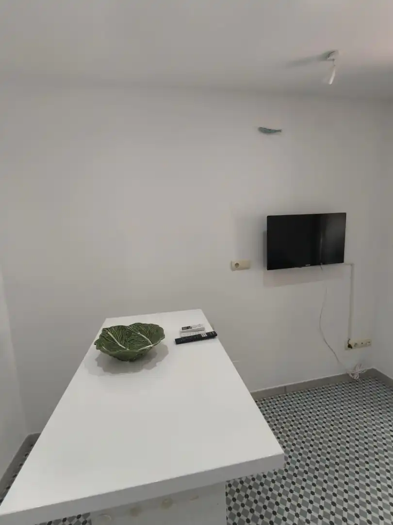 Estudio de alquiler en Estepona con Aire acondicionado, Calefacción y Jardín privado