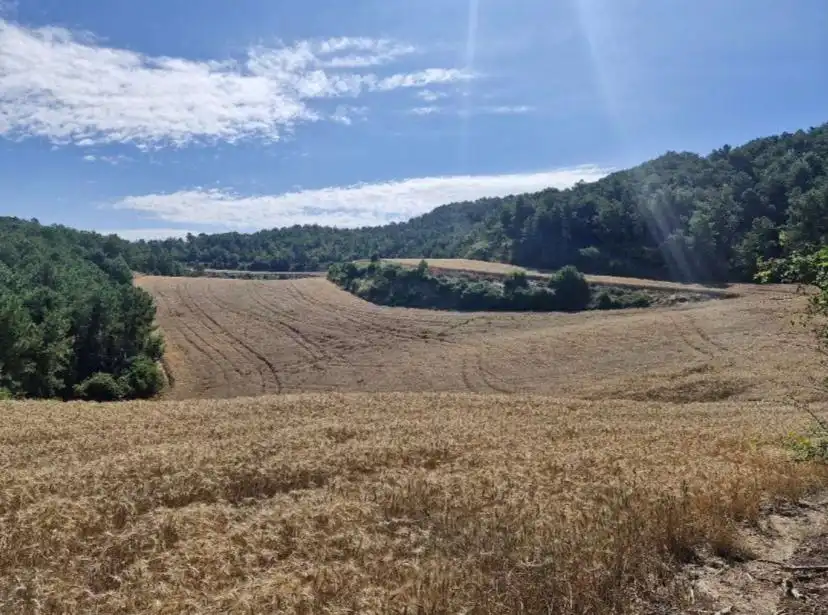 Finca rústica en venda en Sant Pere Sallavinera
