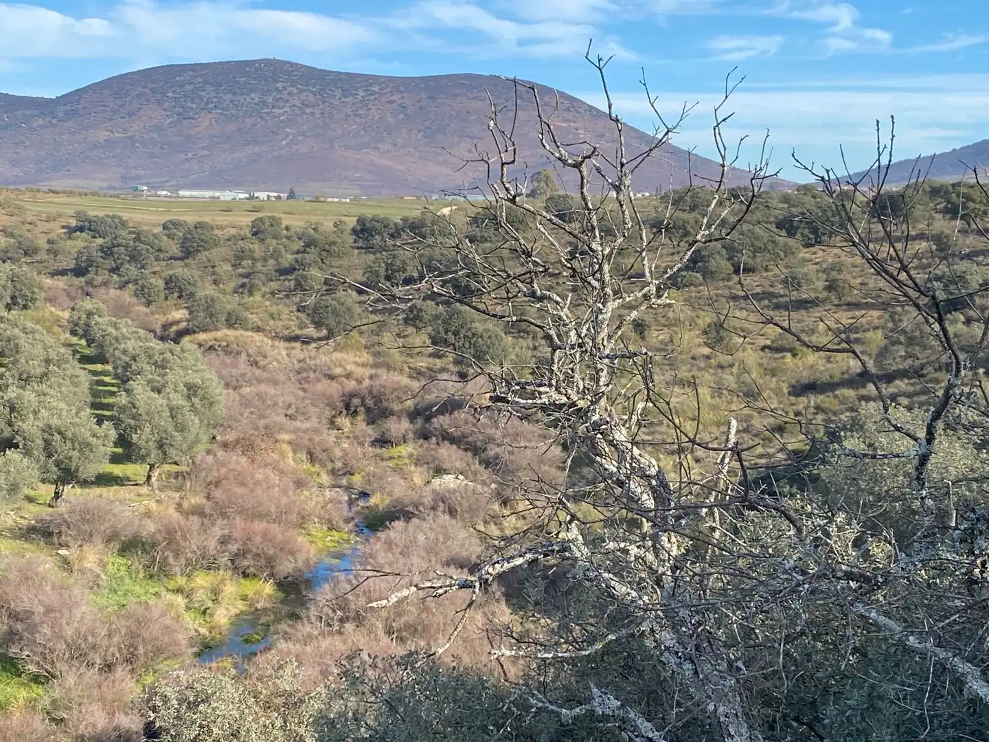 Außenansicht von Grundstücke zum Verkauf in La Estrella