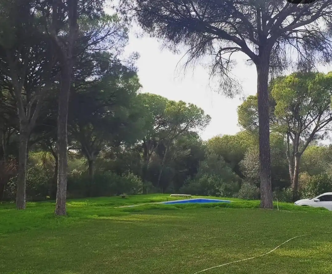 Terreni e lotti in vendita a La Puebla del Río, imagen 15