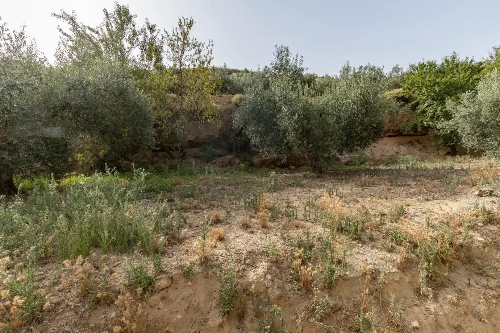 Land for sale in Lecrín
