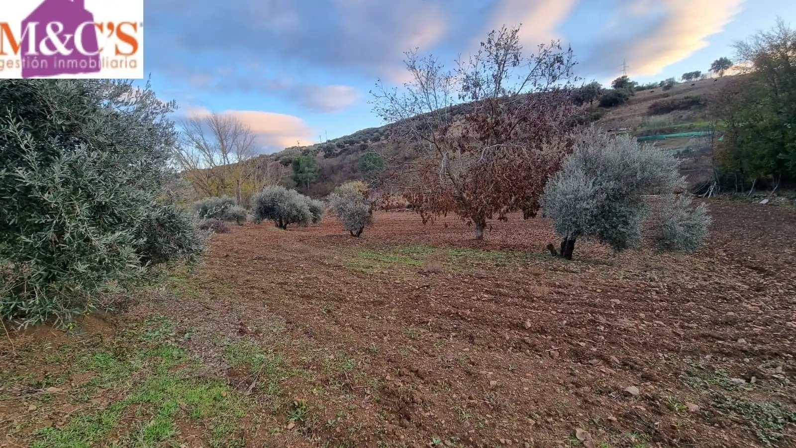 Rustikales Grundstück zum Verkauf in Carretera de Córdoba - Libertad, imagen 11