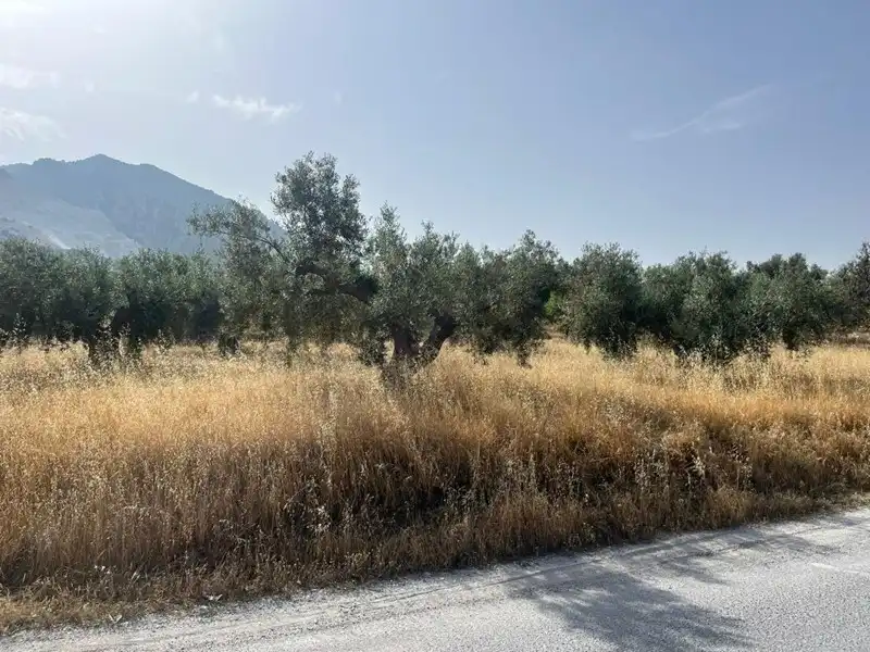 Rural land for sale in Dúrcal, imagen 3