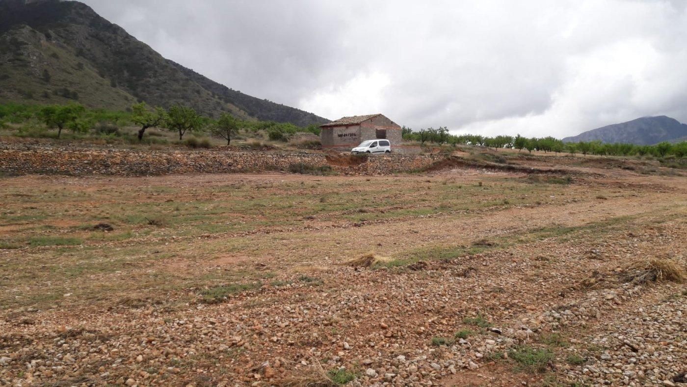 House or chalet for sale in Algueña