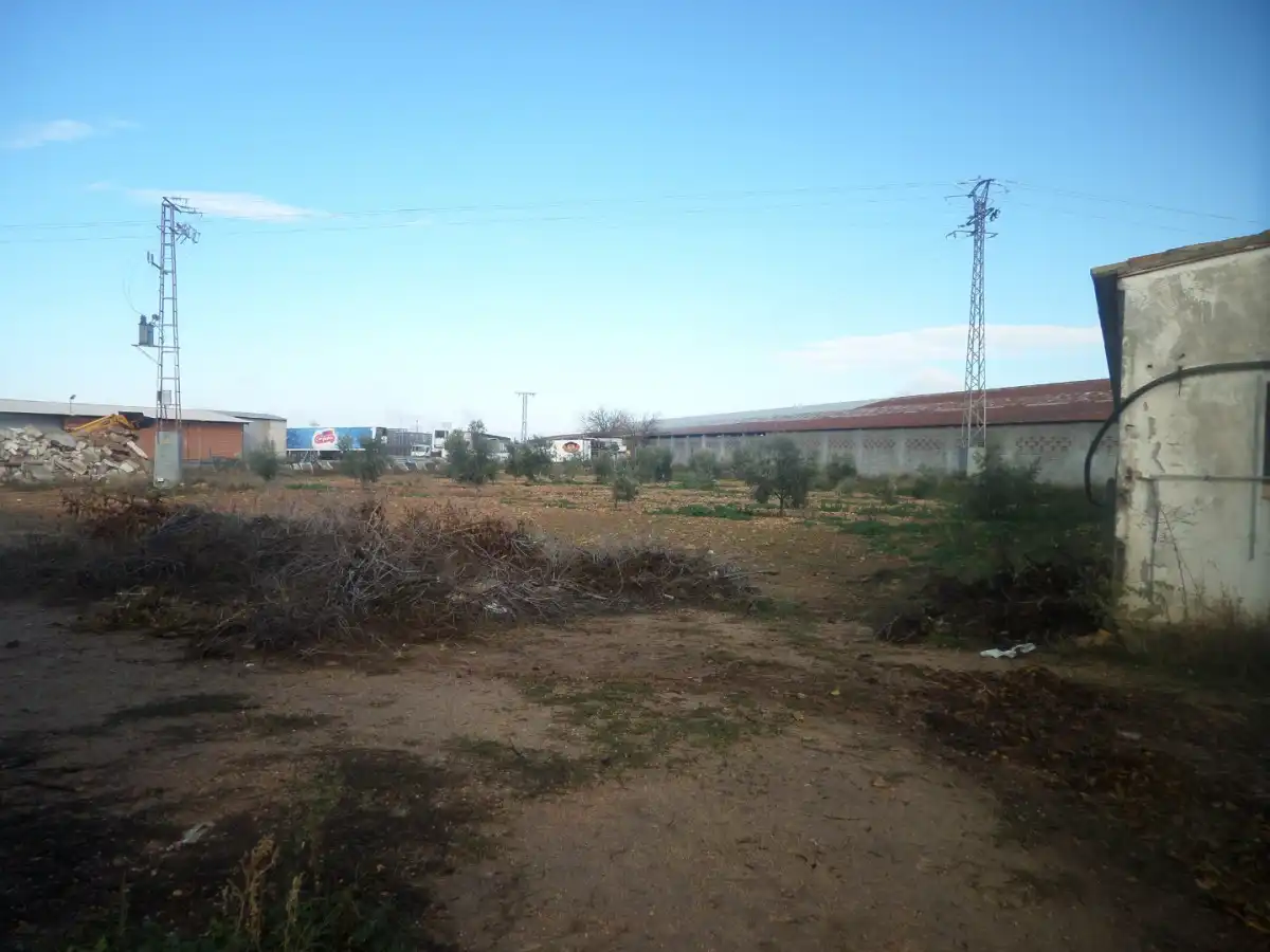 Nau industrial en venda a Tomelloso, imagen 6