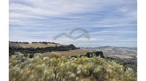 Foto 3 de Finca rústica en venda a Torre Alháquime, Cádiz