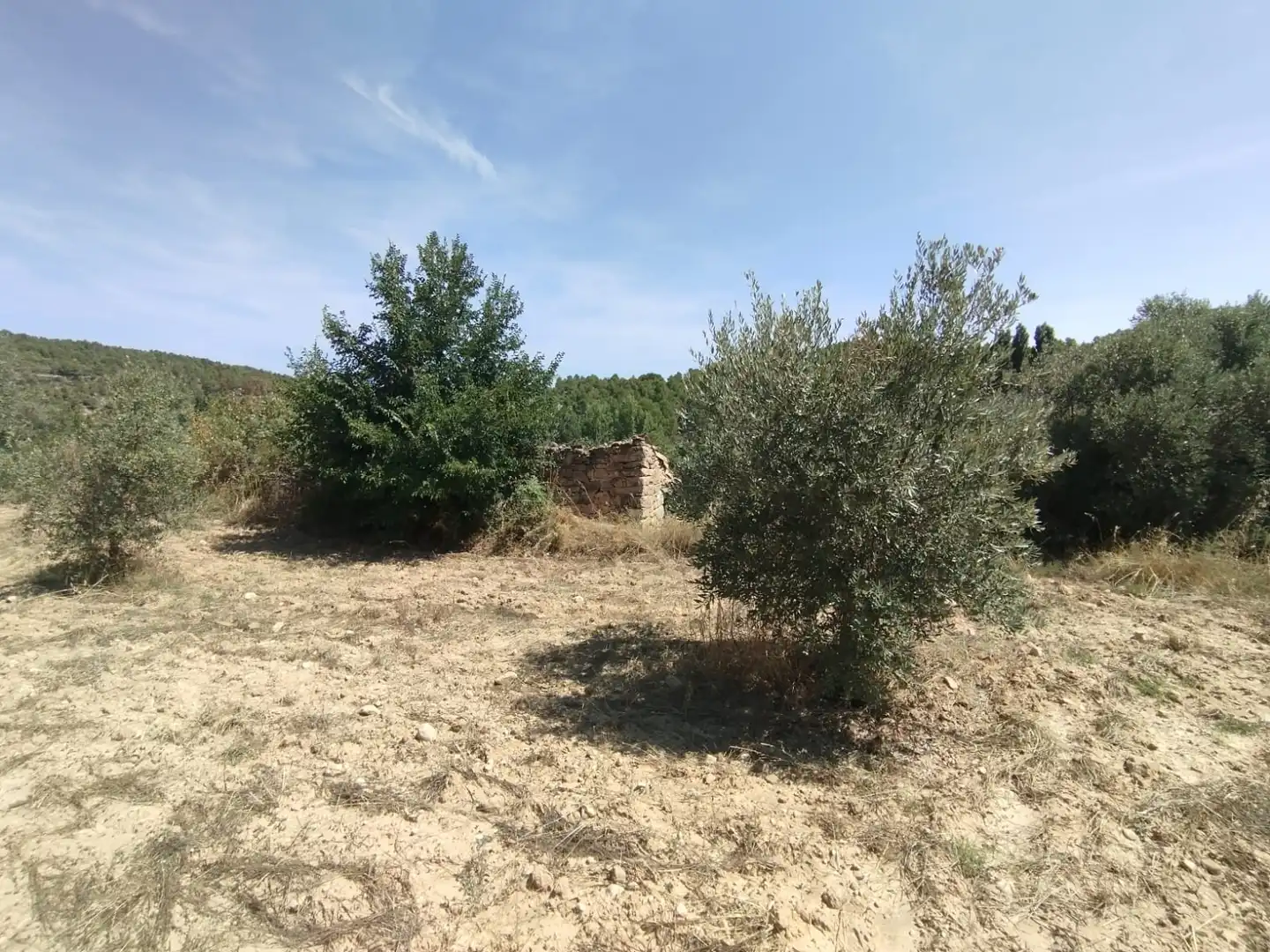 Terreni e lotti in vendita a Valderrobres, imagen 5