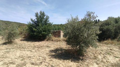Finca rústica con maset, immagine 5