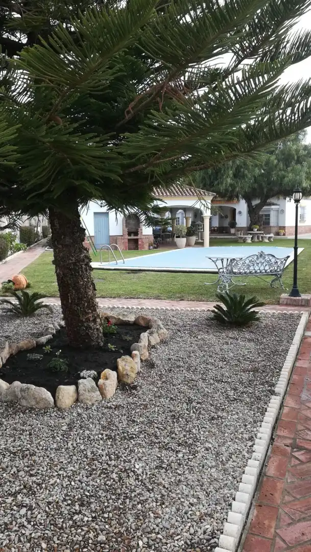 Jardí de Casa o xalet en venda en Arcos de la Frontera amb Aire condicionat, Jardí privat i Traster