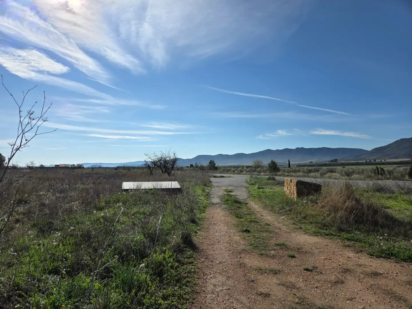 Residential land for sale in Yecla, imagen 5