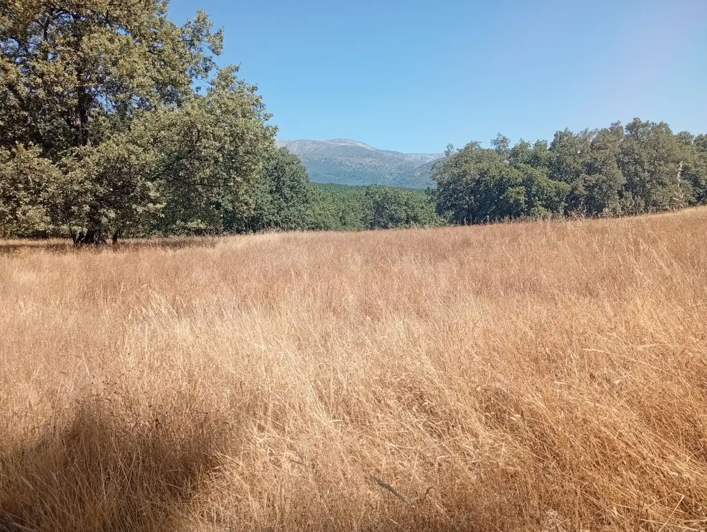 Terreni e lotti in vendita a Villanueva de la Vera, imagen 65