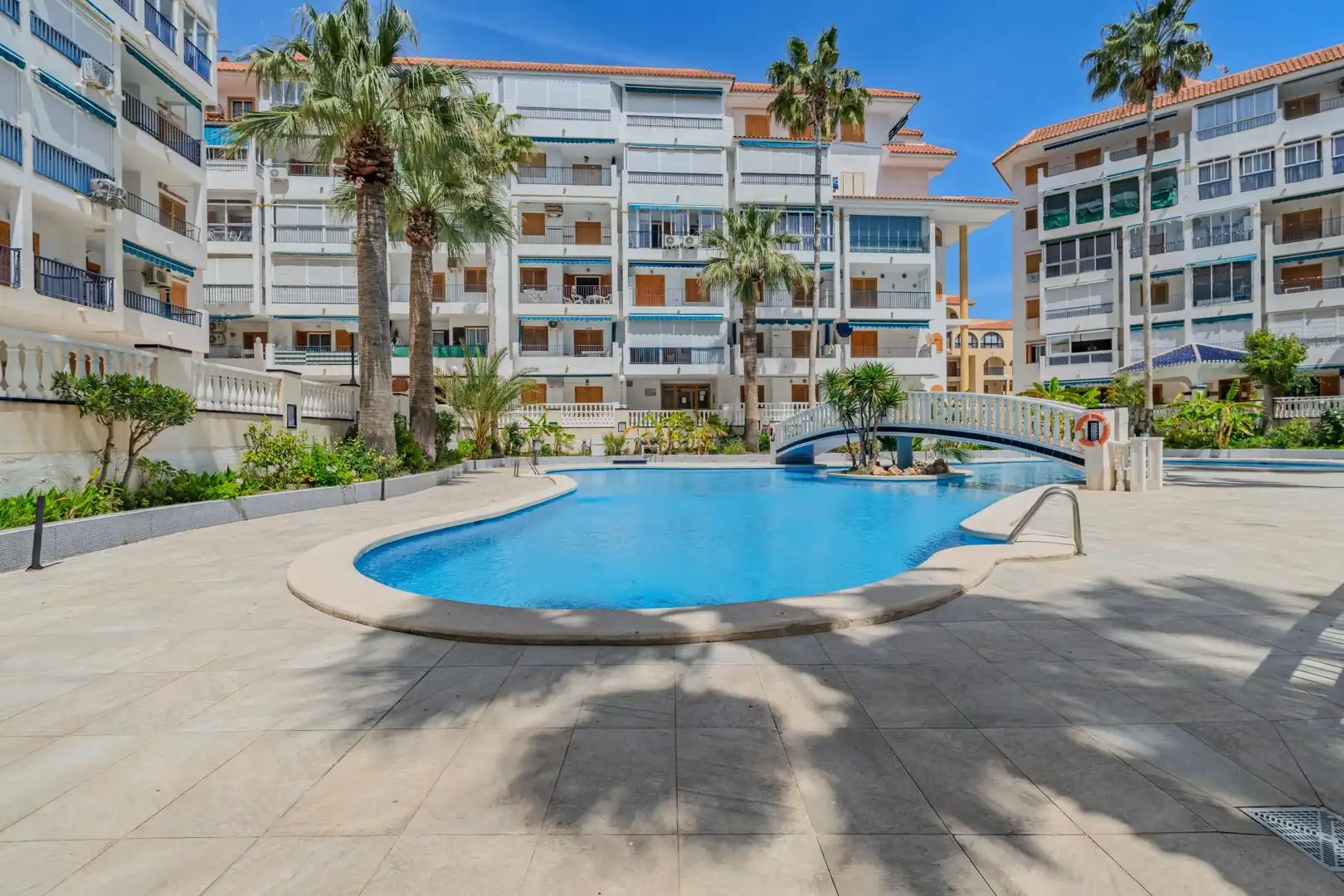 Swimming pool of Apartments for sale in Torrevieja  with Private garden, Terrace and Furnished
