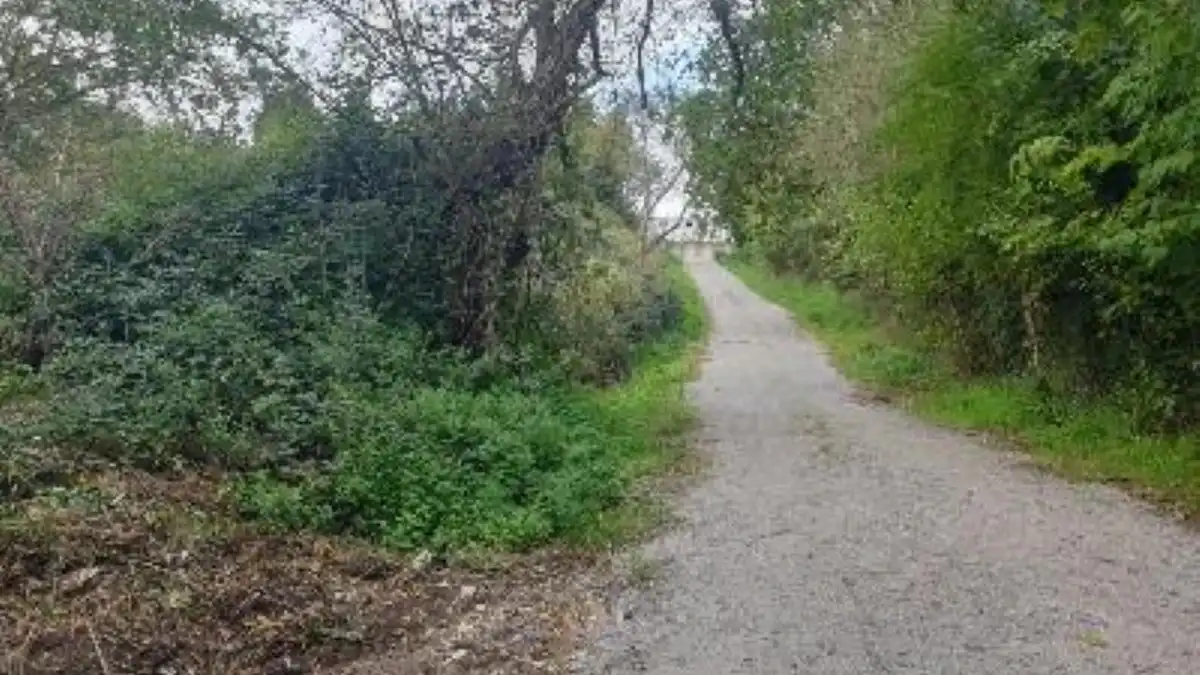 Terreno rustico in vendita a Lugar Carrionina