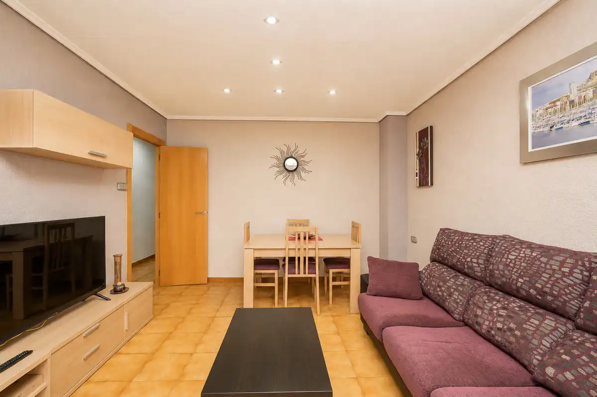 Sala d'estar de Pis en venda en Elche / Elx amb Calefacció, Terrassa i Moblat
