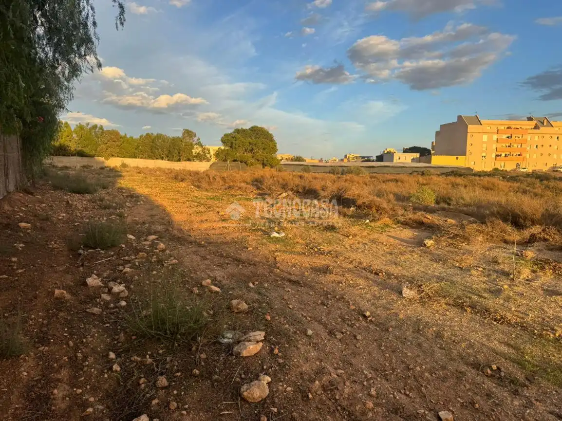 Terreno rústico en venta en Roquetas de Mar ciudad, imagen 11