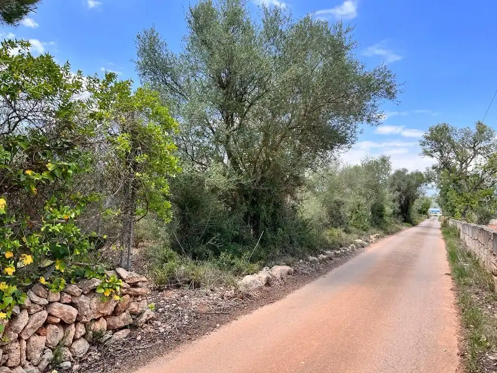 Finca rústica en venta en Llucmajor