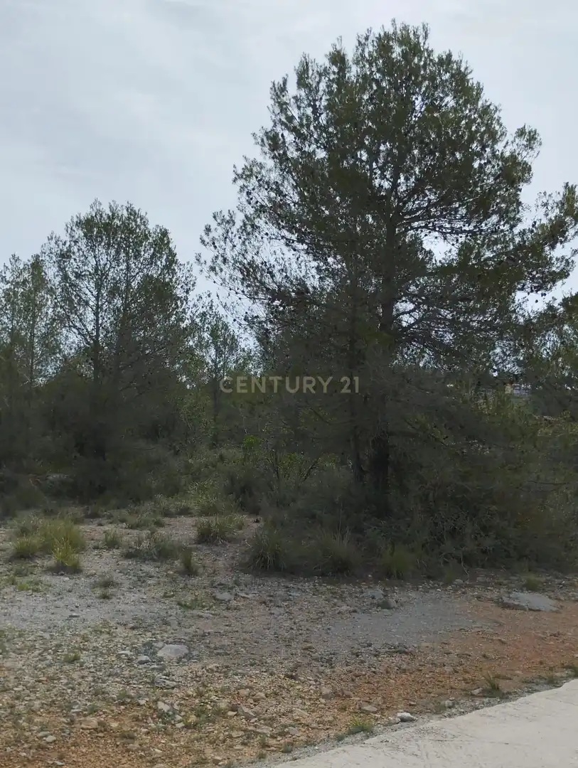 Terreny rústic en venda a poligono 3, imagen 24