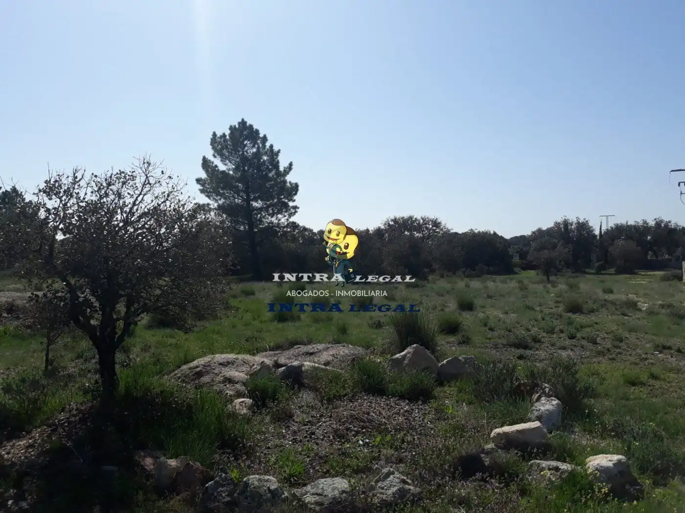 Terreno en venta en Buenavista