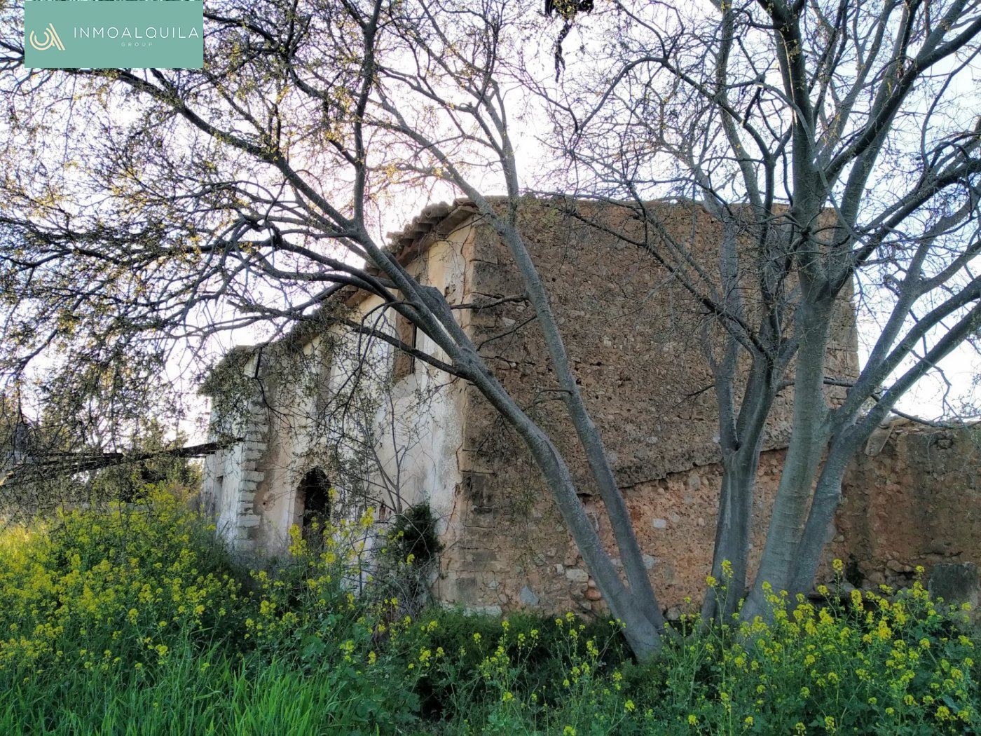 Exterior view of Country house for sale in Binissalem