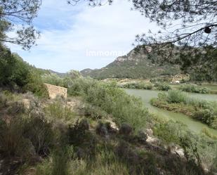 Land for sale in Benifallet