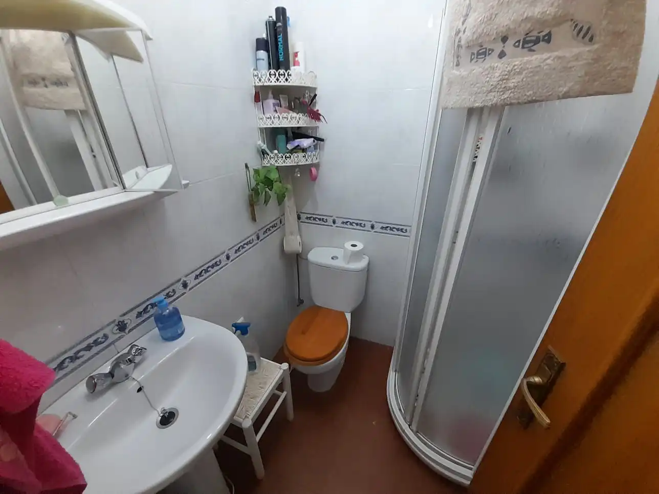 House with garden for sale in Carretera de Córdoba - Libertad, imagen 23