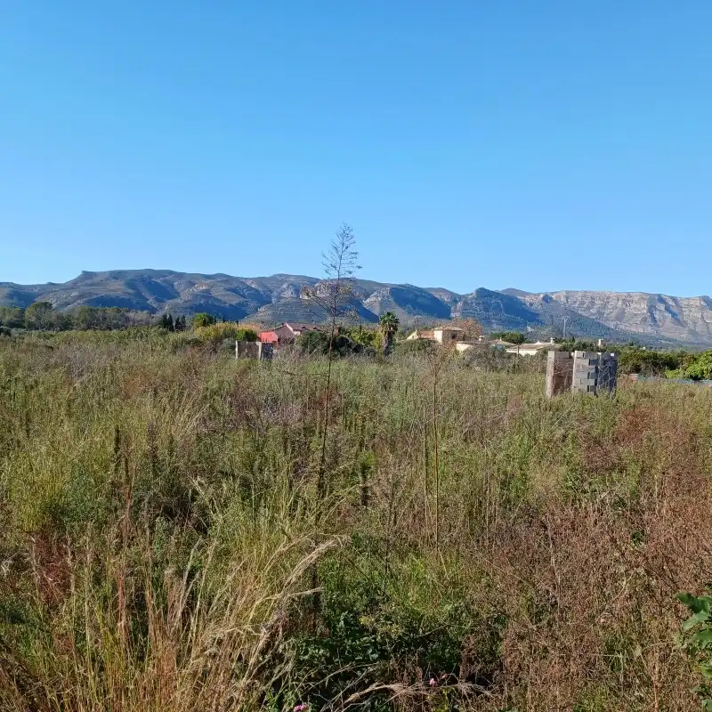 Terreny rústic en venda a Partida Cova Negra, imagen 24
