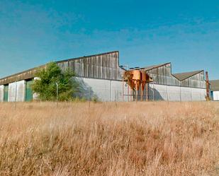 Exterior view of Industrial buildings for sale in Carmona