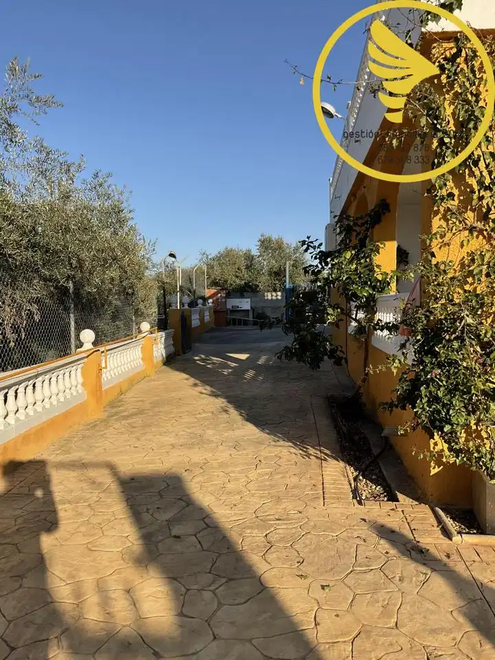 Vista exterior de Finca rústica en venta en Linares