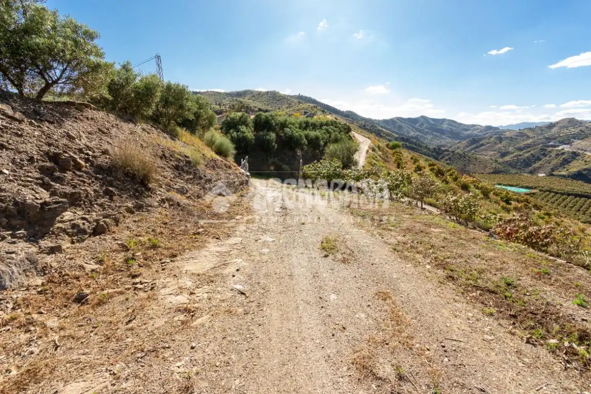 Terreni e lotti in vendita a Vélez-Málaga ciudad, imagen 31
