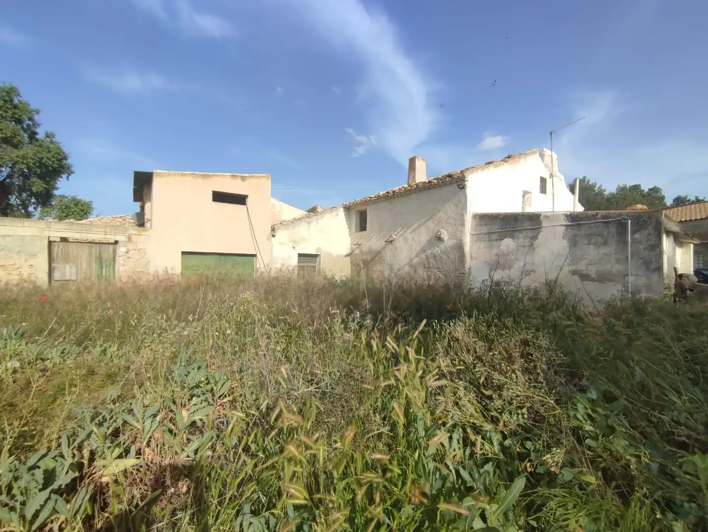 Casa rústica amb jardí en venda a Jumilla, imagen 6