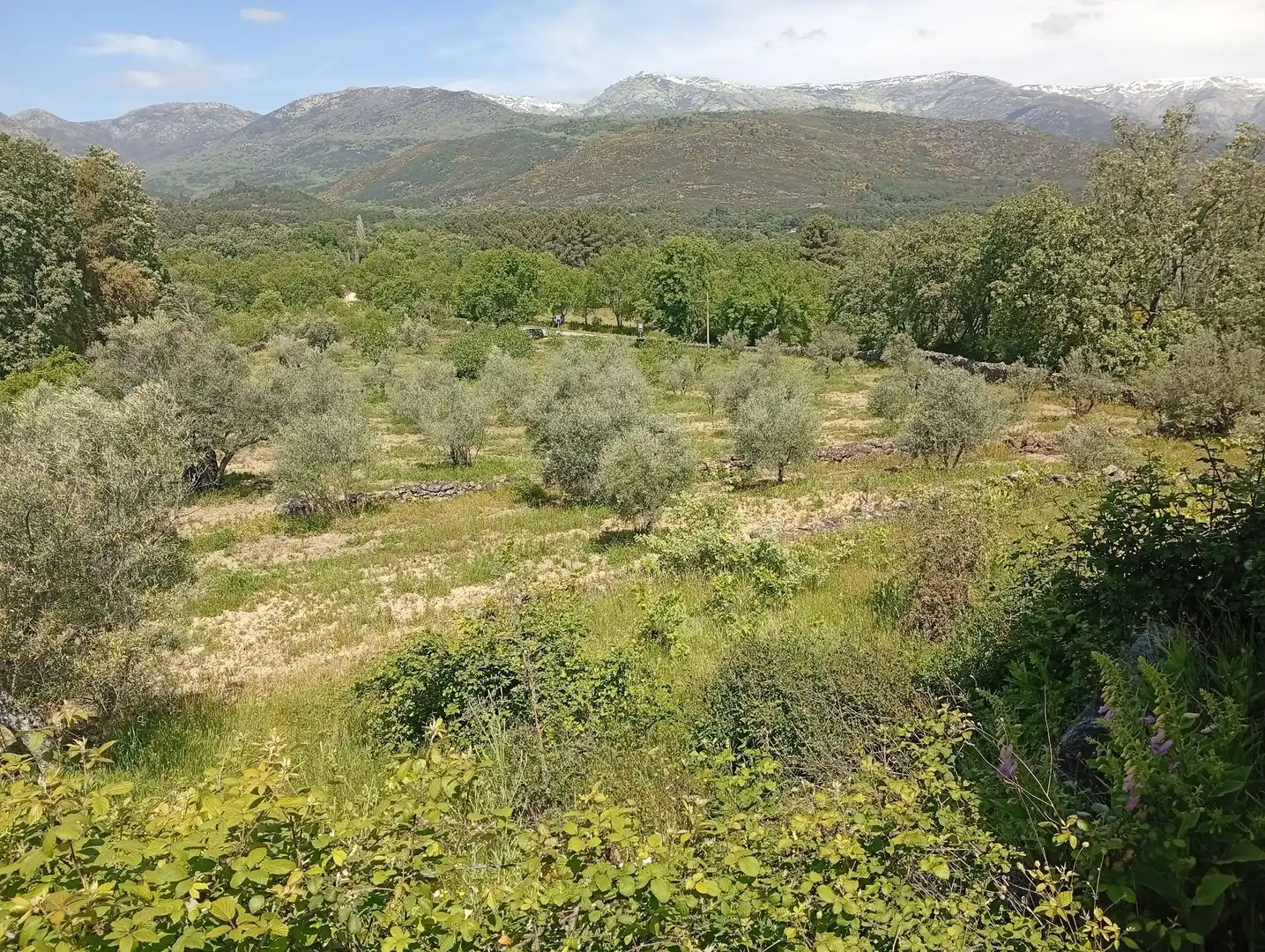 Terreni e lotti in vendita a Villanueva de la Vera, imagen 114