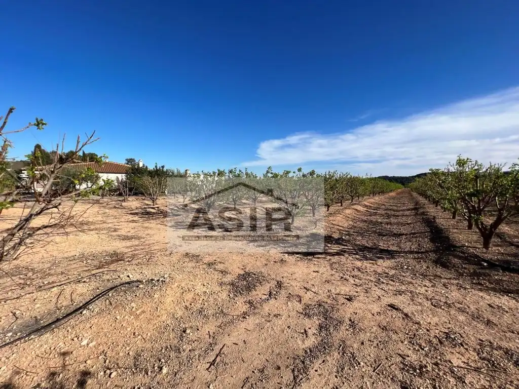 Detached house for sale in Montroi / Montroy, imagen 39