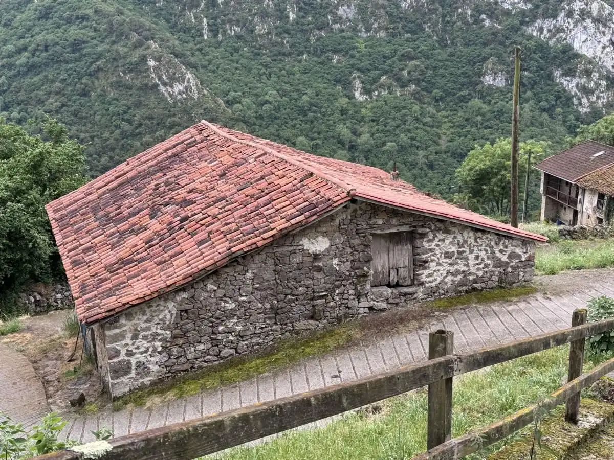 House for sale in Peñamellera Alta, imagen 35