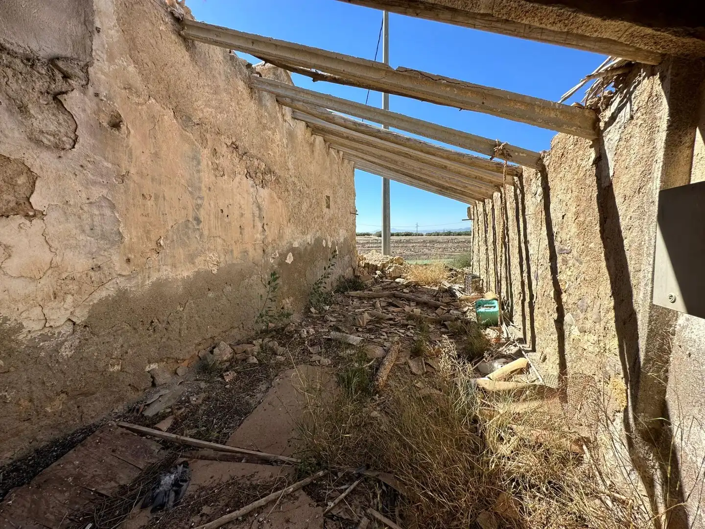 Exterior view of Country homes for sale in Lorca